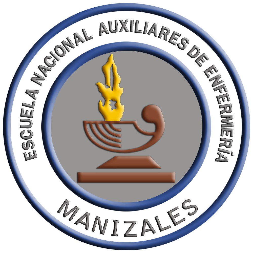 Logo ENAE relieve